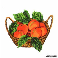 А14 Канва с рисунком, Collection D`Art 'Абрикосы' 25*25 см